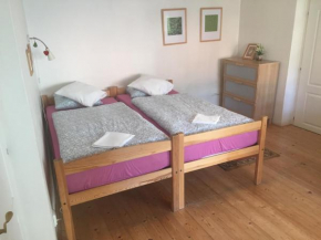 Отель Apartments at the Golden Plough  Прага